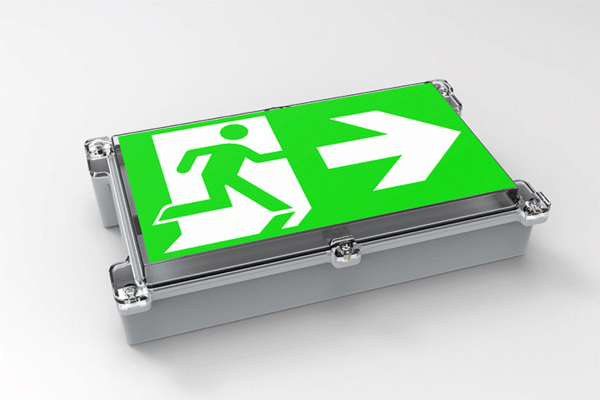 Zemper emergency light